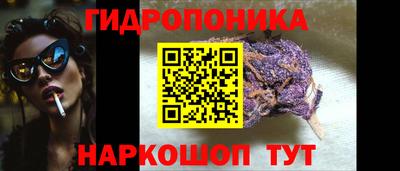 шишки Бузулук