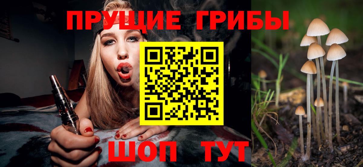 Северобайкальск  Галлюциногенные грибы Psilocybe  Вход с VPN 